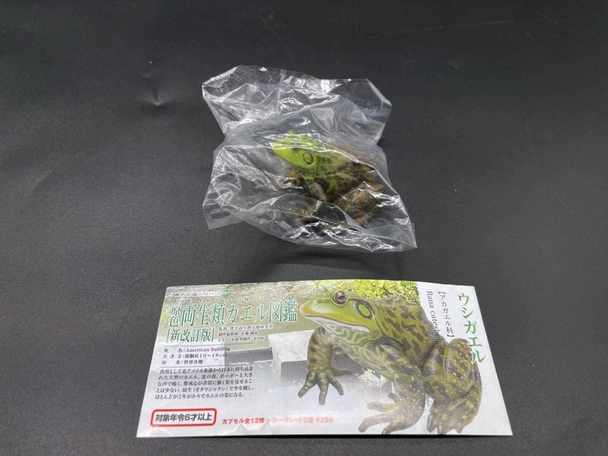 〓ユージン〓原色両生類 カエル図鑑 新改訂版 シークレット3種含む 15